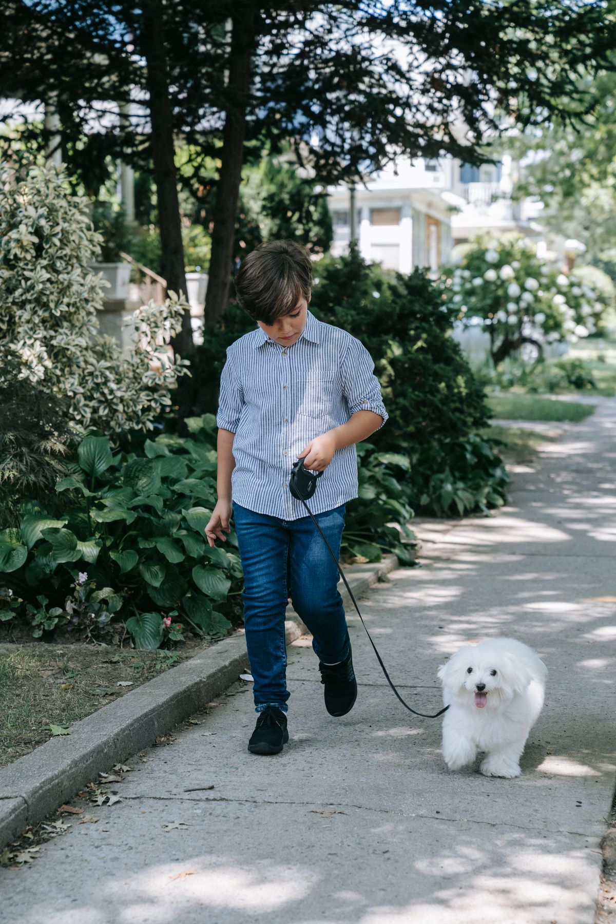 Golpe de calor en perros: señales y qué hacer