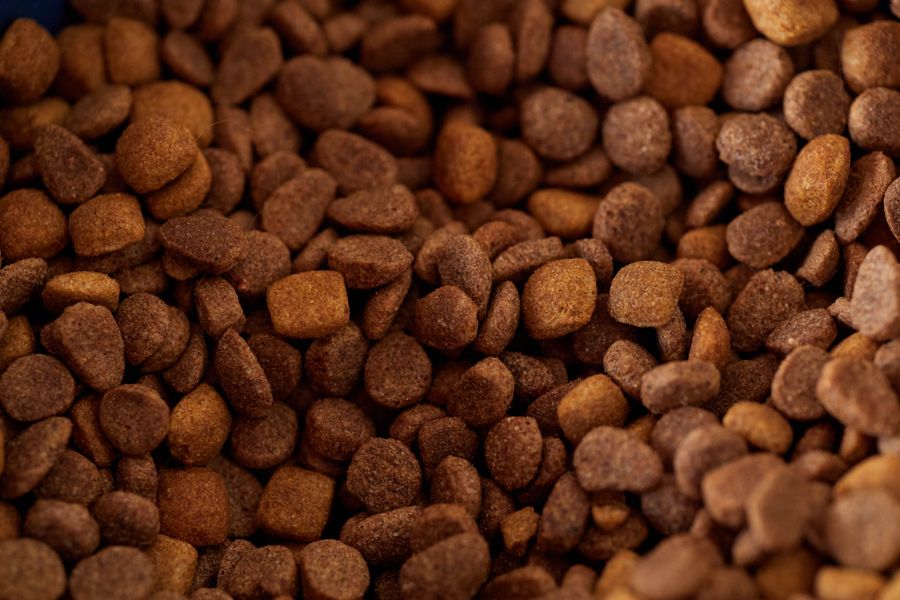 Microplásticos hallados en el 76% de la comida de mascotas