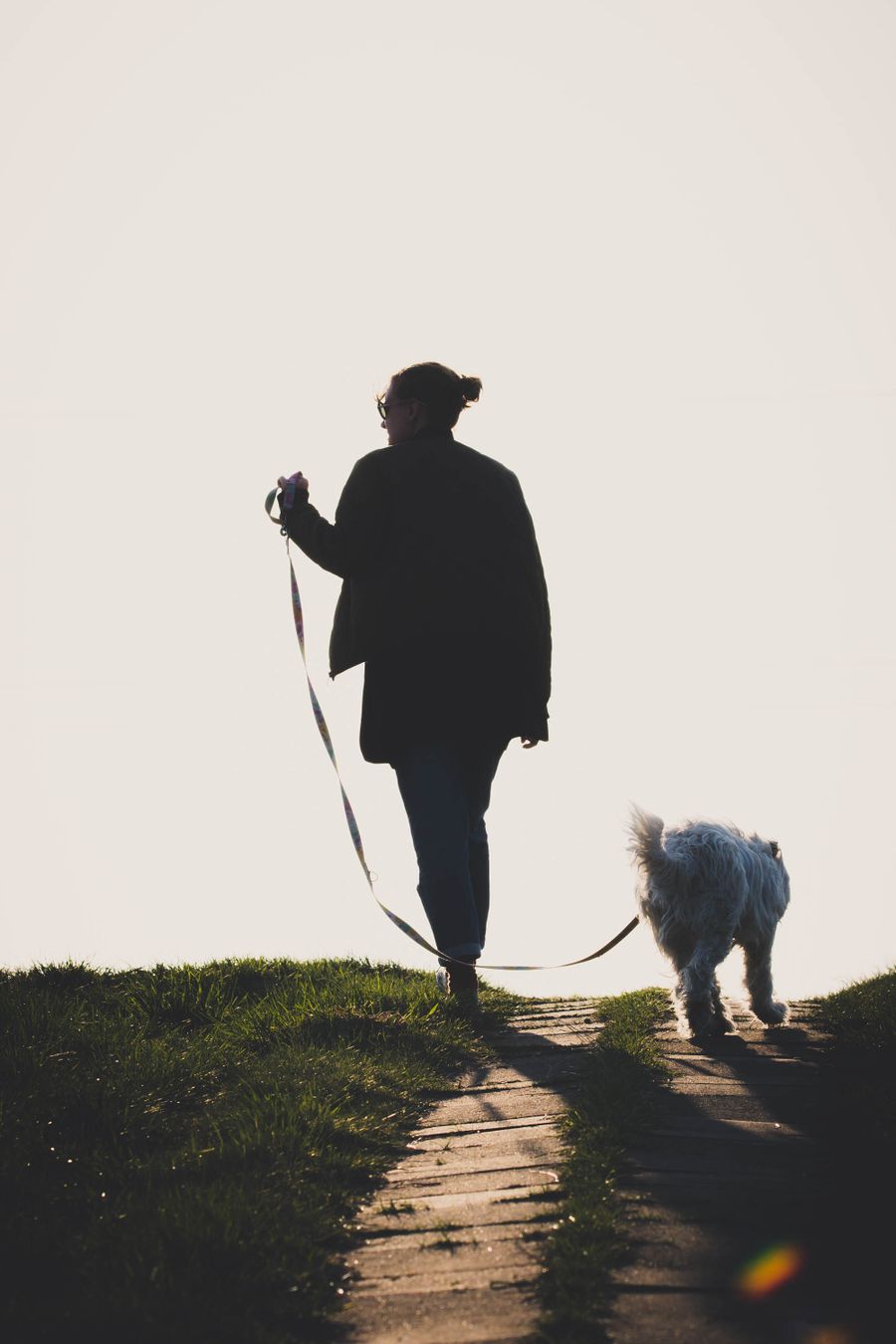 La UE prohíbe mutilar orejas y rabo a perros y gatos